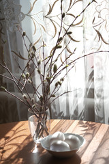 Fluffy shoots of willow closeup in drops of water. Macro photo. Suitable for illustrating Palm Sunday in the Orthodox tradition.