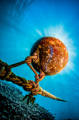 Colorful coral reef formations  in clear blue water