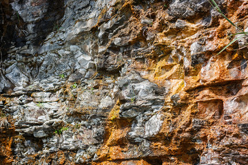  beautiful cliff texture on the sea coast