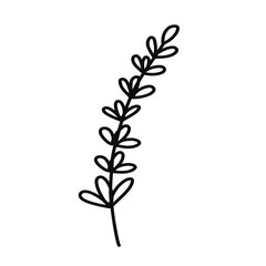 Fototapeta na wymiar Wild flower on a white background. Simple vector illustration.