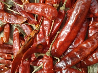 Red hot chili dried peppers, top view. Vegetarian food. Food poster. Closeup image. Nepal