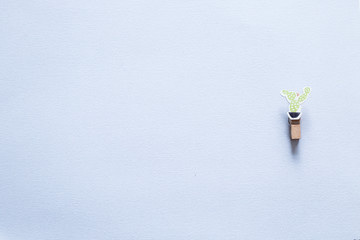 Clothespin cactus on a light gray background