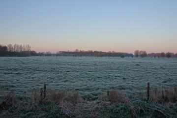 Obraz premium Niederrheinlandschaft bei Grefrath Oedt bei Frost am Morgen