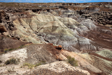 Arizona / USA - August 01, 2015: Petrified Forest National Park landscape, Arizona, USA