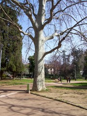 Jardines de Villa Amelia, Sarrià-Sant Gervasi, Barcelona