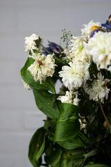 selective focus, dry white flowers