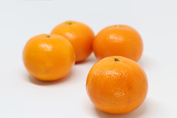A group of Mandarin oranges isolated on white background with copy space