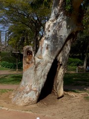 Jardines de Villa Amelia, Sarrià-Sant Gervasi, Barcelona