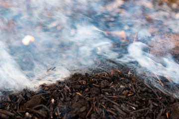 gray smoke when burning grass