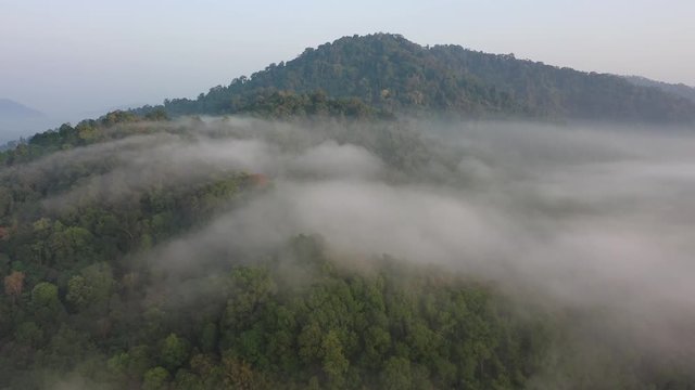 Rainforest. Aerial view of rain forest jungle hillside landscape and clouds	