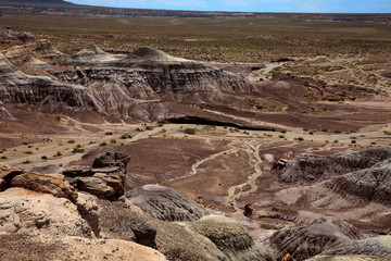 Arizona / USA - August 01, 2015: Petrified Forest National Park landscape, Arizona, USA