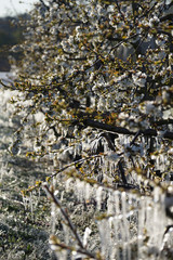 Winterpanorama. Winterstraße. Winterurlaub. Wintersportparadies. Österreich. Italy. Deutschland. Russland.