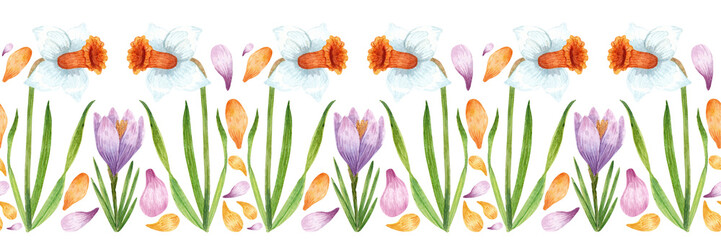 Hand-drawn watercolor floral pattern. Daffodils, crocuses and petals. Primrose seamless ribbon. Spring flowers border for stickers, website design, scrapbooking and other purposes. 