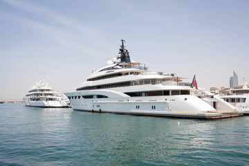 Obraz na płótnie Canvas luxury cruise ship