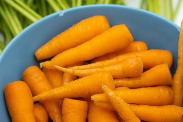 Fresh baby carrots in the blue bowl with green leaves on background, vegetable food concept