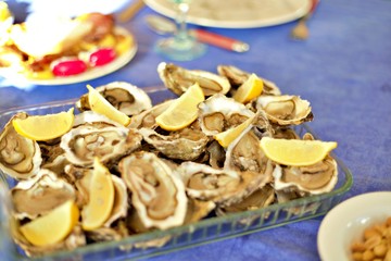 Oysters with lemon on a table blue background.from Nantes france