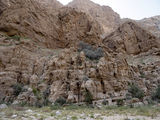 Wadi Shab, beautiful scenery, high rocks, stream with clear water. Oman