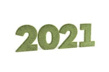 3D Rendering of 2021 Year Text on Nature Grass