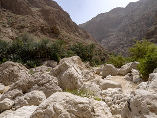 Wadi Shab, beautiful scenery, high rocks, stream with clear water. Oman