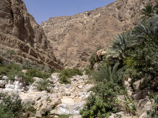Wadi Shab, beautiful scenery, high rocks, stream with clear water. Oman