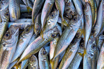 Texture of fresh horse mackerel on the counter.