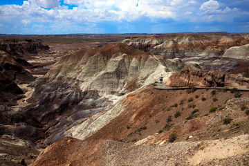 Arizona / USA - August 01, 2015: Petrified Forest National Park landscape, Arizona, USA