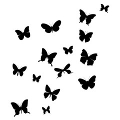 vector, isolated, black silhouette of a butterfly flying