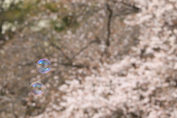 シャボン玉