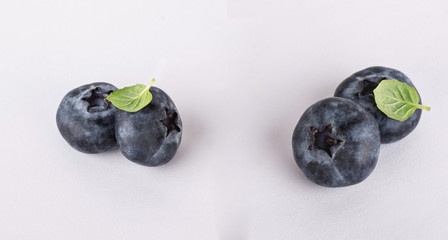 blueberries with mint isolated on a white background