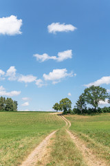 Wanderweg entlang von Bäumen und Feldern im Sommer