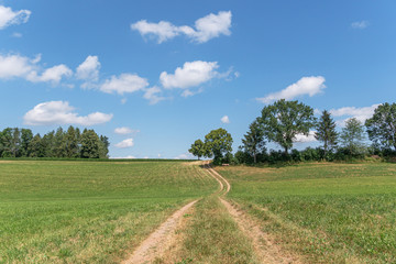 Wanderweg entlang von Bäumen und Feldern im Sommer