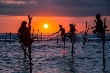 Traditional stilt fisherman at sunset in Sri Lanka - 334734726