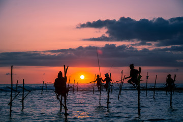 Traditional stilt fisherman at sunset in Sri Lanka - 334734748