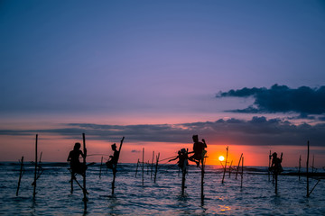 Fototapeta premium Traditional stilt fisherman at sunset in Sri Lanka