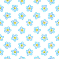 Fototapeta na wymiar Forget-me-not seamless pattern on white background for wrapper, textile, scrapbooking paper 
