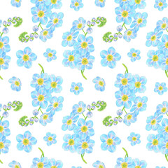 Seamless Forget-me-not flowers pattern in white background