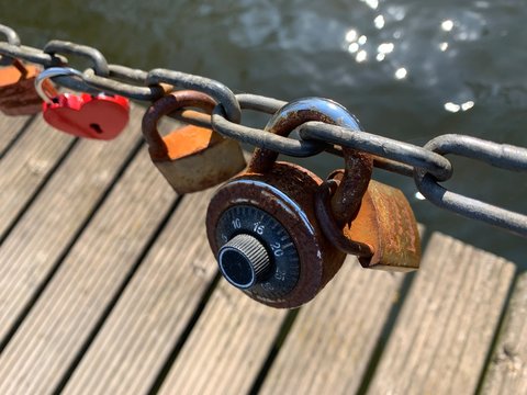 Love Locks in Spring