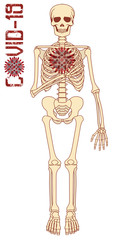 Coronavirus banner, human skeleton with virus covid-19, vector illustration