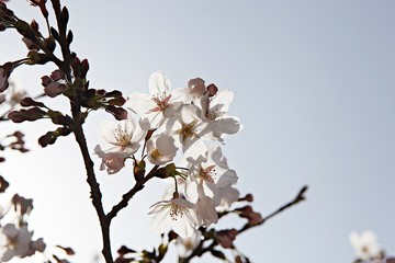 한국 인천시 남동구 인천대공원 입니다