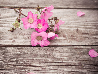 Anemone Flower. Pink Flowers and Petals on rustic old wooden table. Vintage Floral background.