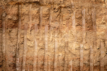 Dirt Texture