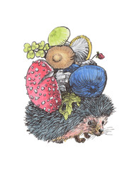 Сute hedgehog drags a bunch of mushrooms