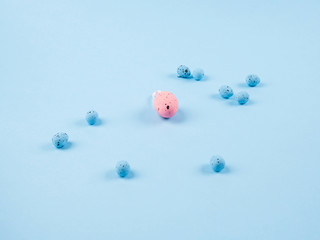 Easter pastel color eggs on blue backdrop with different pink one. Stand out from the crowd concept