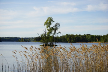 Small island in sweden
