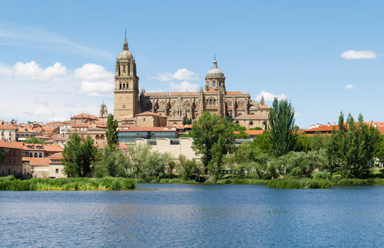 Espagne-Cath&eacute;drale de Salamanque