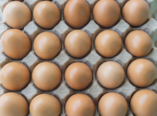 Top view of fresh eggs, eggs ready to eat.