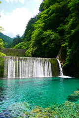 仁淀川の上流、安居渓谷。初夏の水晶淵。高知、日本。6月上旬。