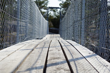 Bridge in nature