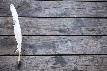 Feather for writing.Quill for writing. The feather lies on an old wooden table. Beautiful...