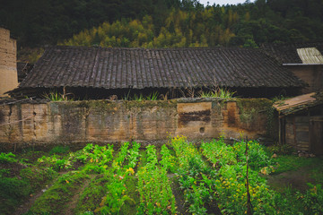 countryside landscape of China's traditional village